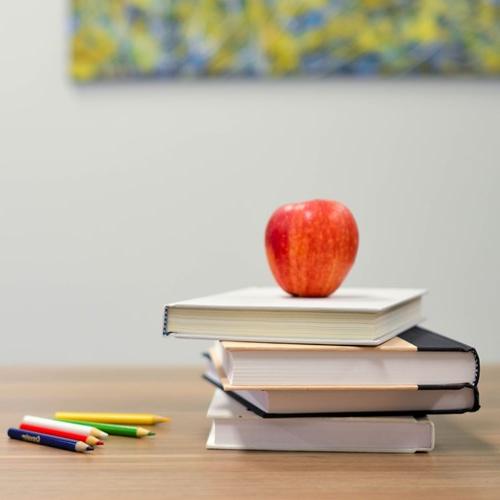 桌子上有书、铅笔、积木和一个苹果